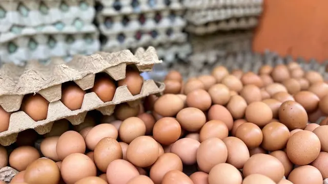 Strategi Distribusi Telur Ayam untuk Menjaga Kualitas Produk